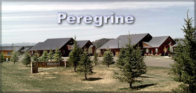 Peregrine