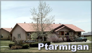 Ptarmigan
