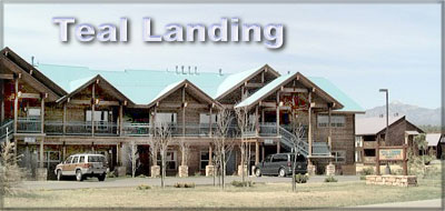 Teal Landing